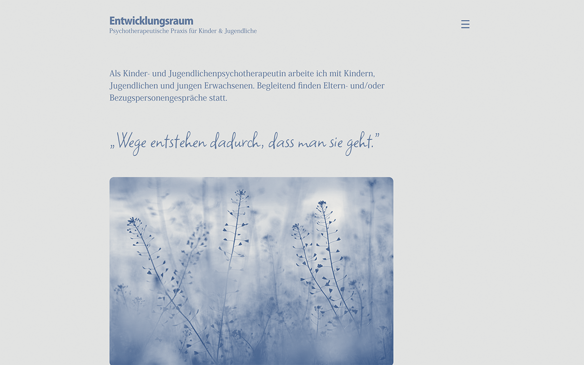 Entwicklungsraum Berlin website